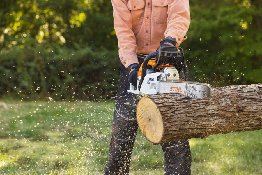 ms 251 gasoline chainsaw
